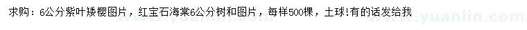 求購(gòu)6公分紫葉矮櫻、紅寶石海棠
