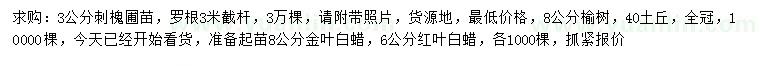 求購(gòu)刺槐、榆樹(shù)、金葉白蠟等