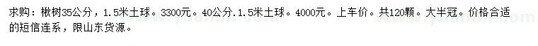 求購35、40公分楸樹