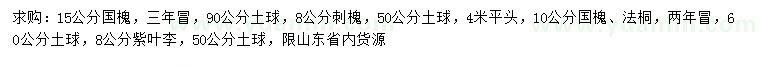 求購國槐、刺槐、法桐等