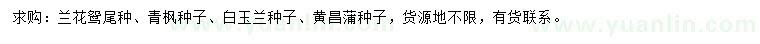 求購(gòu)蘭花鴛尾種、青楓種子、白玉蘭種子等