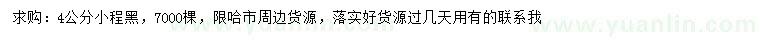 求購4公分小程黑