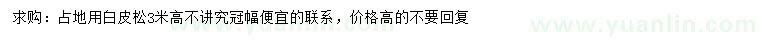 求購高3米白皮松