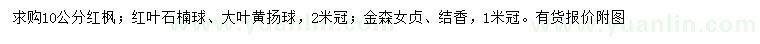 求購(gòu)紅楓、紅葉石楠球、大葉黃楊球等