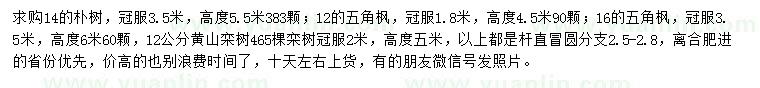 求購樸樹、五角楓、黃山欒樹