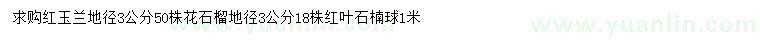 求購紅玉蘭、花石榴、紅葉石楠球