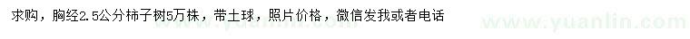 求購胸徑2.5公分柿子樹