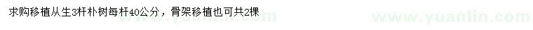 求購從生樸樹