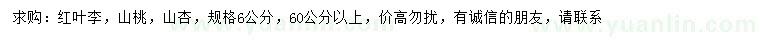 求購紅葉李、山桃、山杏