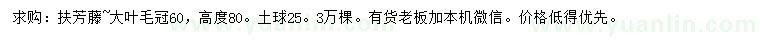 求購高80公分扶芳藤