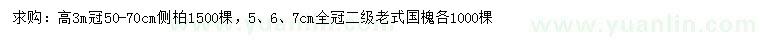 求購(gòu)高3米側(cè)柏、5、6、7公分老式國(guó)槐