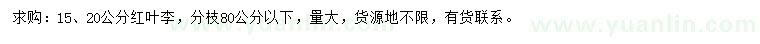 求購15、20紅葉李