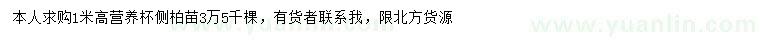 求購高1米側(cè)柏
