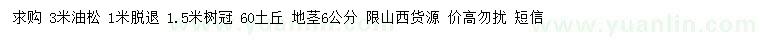 求購3米油松