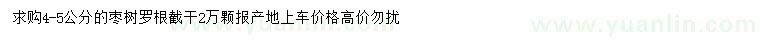 求購4-5公分棗樹