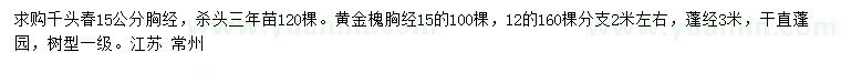 求購胸徑15公分千頭椿、12、15公分黃金槐