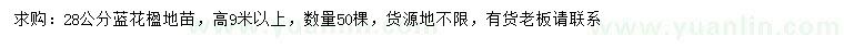 求購28公分藍(lán)花楹地苗