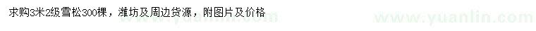 求購3米雪松