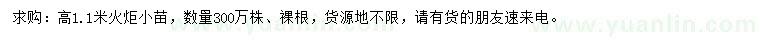 求購(gòu)高1.1米火炬小苗