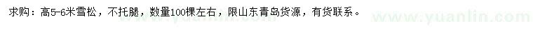 求購(gòu)高5-6米雪松