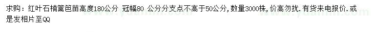 求購(gòu)高180公分紅葉石楠苗