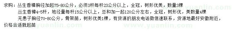 求購3、4-5桿叢生香樟、胸徑70-80公分無患子