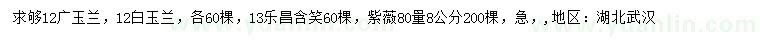 求購廣玉蘭、白玉蘭、樂昌含笑等