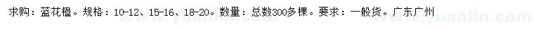 求購10-12、15-16、18-20公分藍花楹