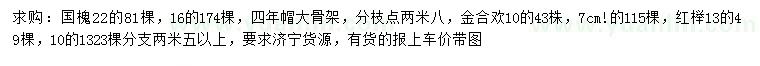 求購國槐、金合歡、紅櫸