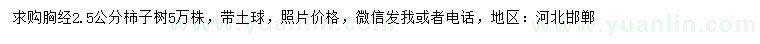 求購胸徑2.5公分柿子樹