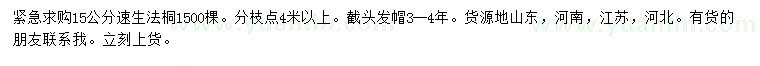 求購15公分速生法桐