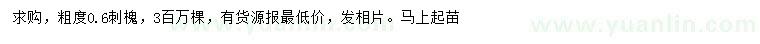求購0.6公分刺槐