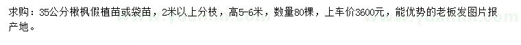 求購35公分楸楓