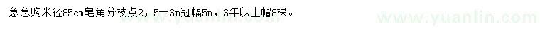 求購米徑85公分皂角