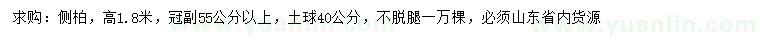 求購高1.8米側柏