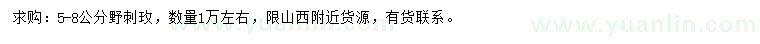 求購5-8公分野刺玫