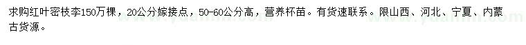 求購高50-60公分紅葉李