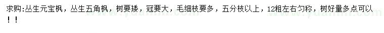 求購叢生元寶楓、叢生五角楓
