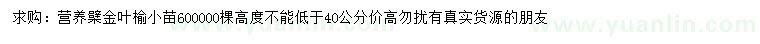 求購高40公分以上金葉榆