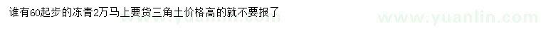 求購(gòu)60公分以上冬青