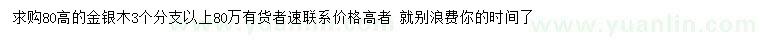 求購高80公分金銀木