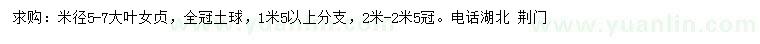 求購米徑5-7公分大葉女貞