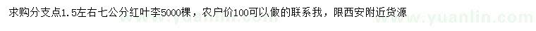 求購7公分紅葉李