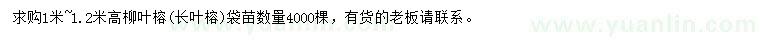 求購高1-1.2米柳葉榕