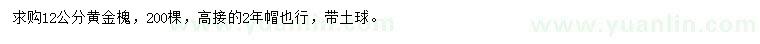 求購12公分黃金槐