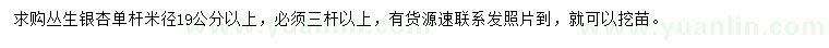 求購叢生銀杏