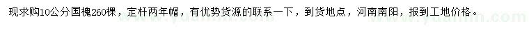 求購10公分國槐