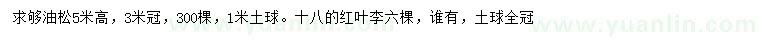 求購高5米油松、18公分紅葉李