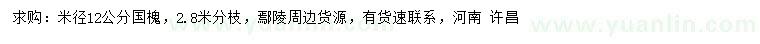 求購米徑12公分國槐