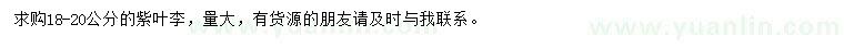 求購18-20公分紫葉李